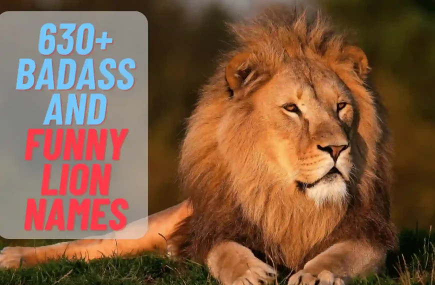 630+ Cool And Funny Lion Names