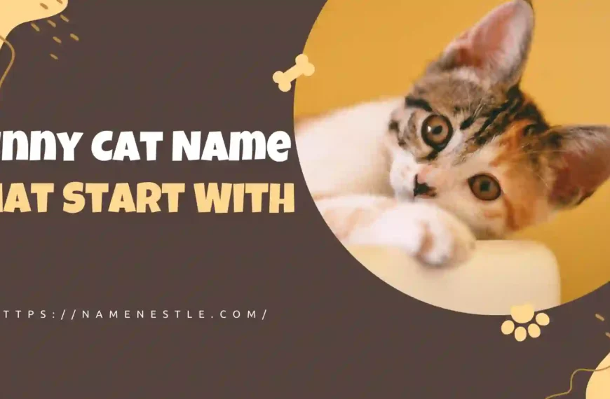 Funny Cat Names Starting With F