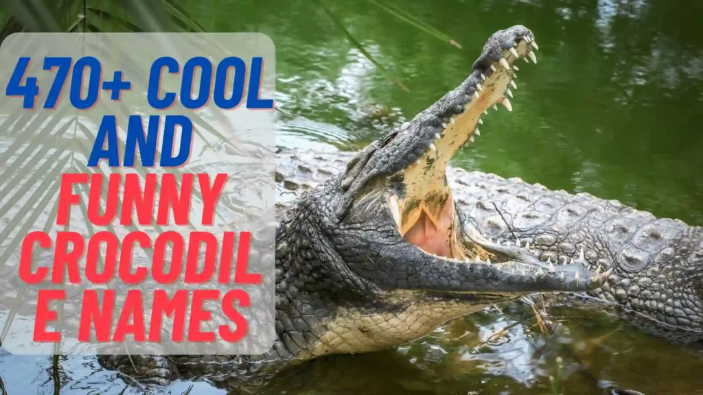 cool and funny crocodile names