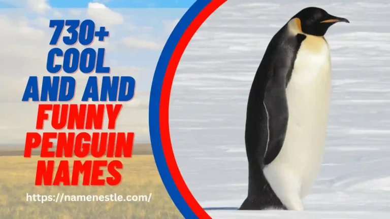 Cool And Funny Penguin Names