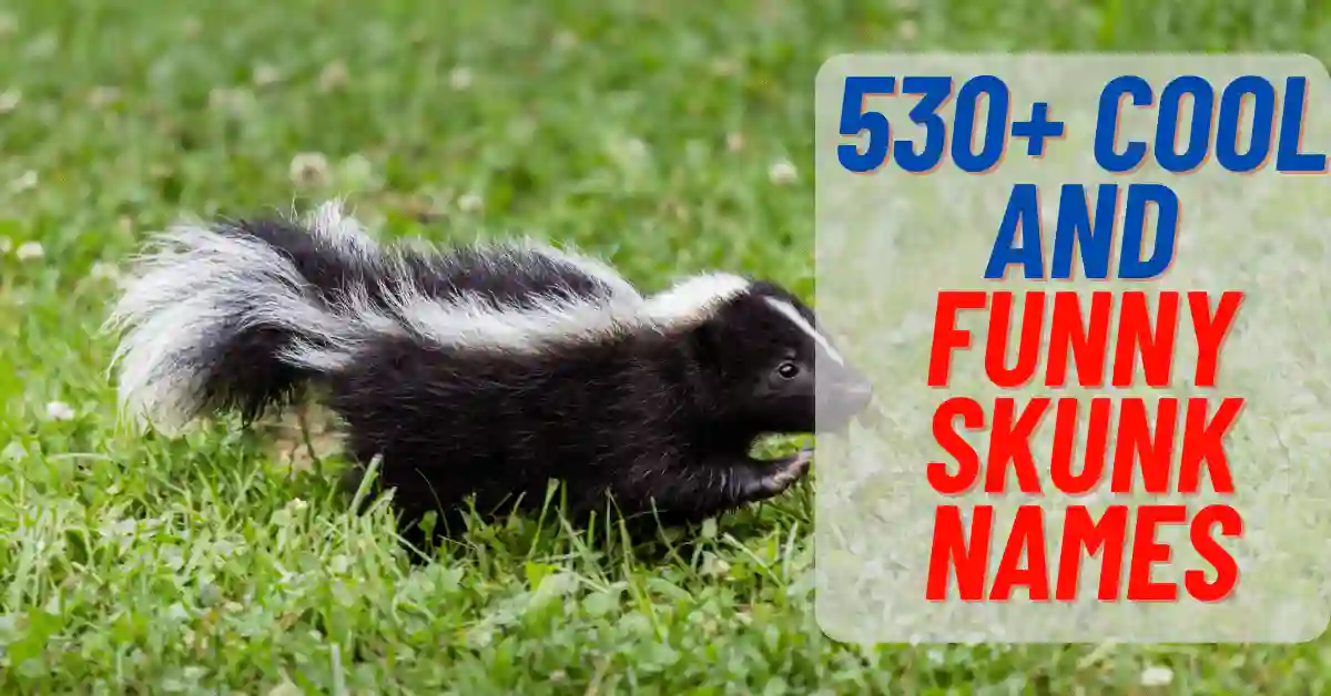 cool and funny skunk names