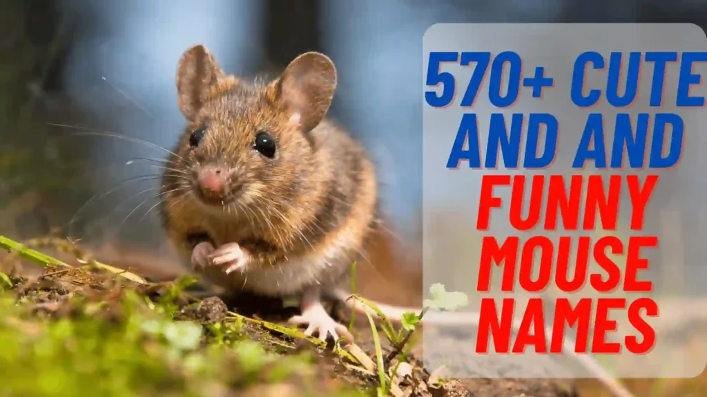 570+ Cute and Funny Mouse Names