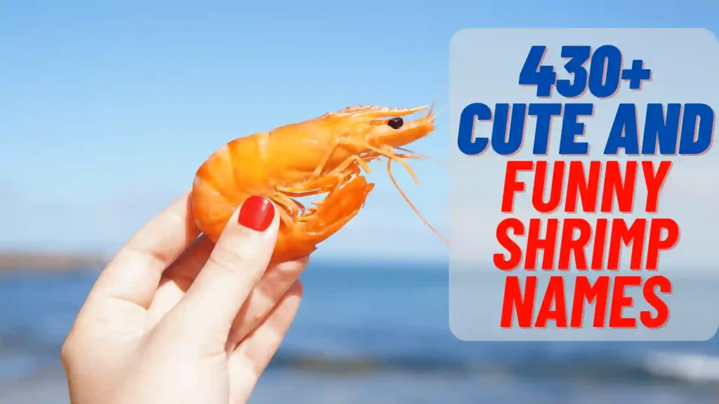 430+ Cute And Funny Shrimp Names 