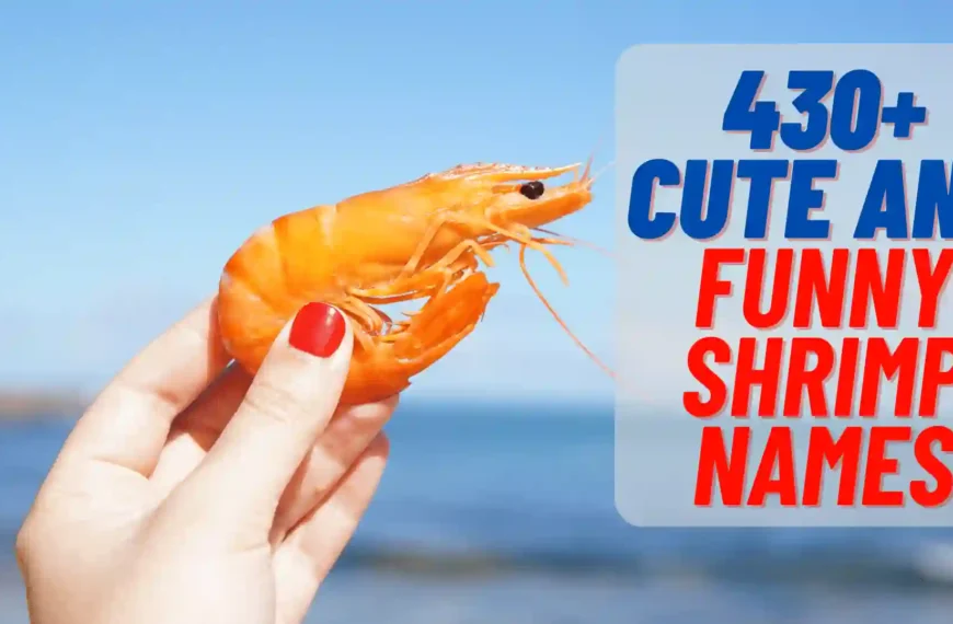 430+ Cute And Funny Shrimp Names