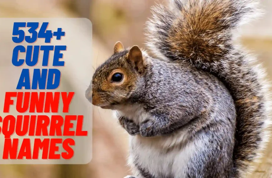 Cute and Funny Squirrel Names