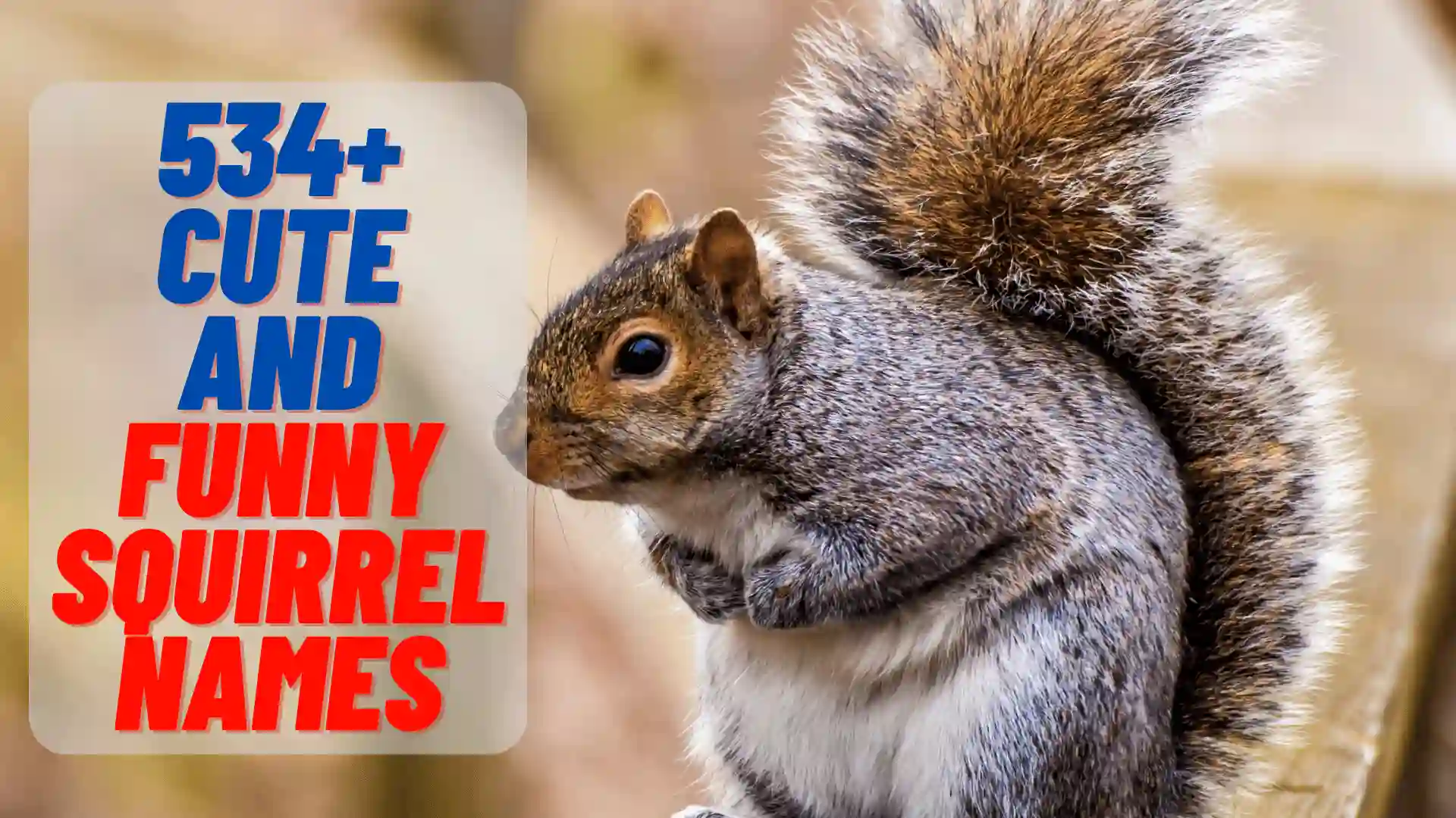 Cute and Funny Squirrel Names