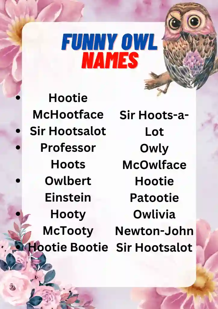 Cool and Funny Owl Names