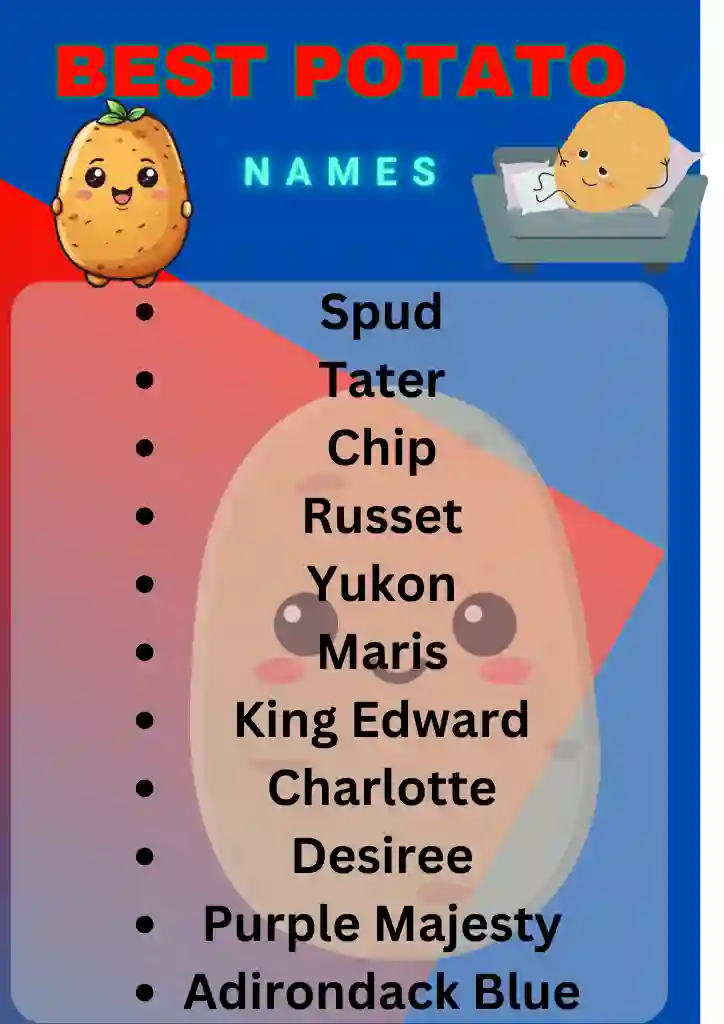 Cool And Funny Potato names