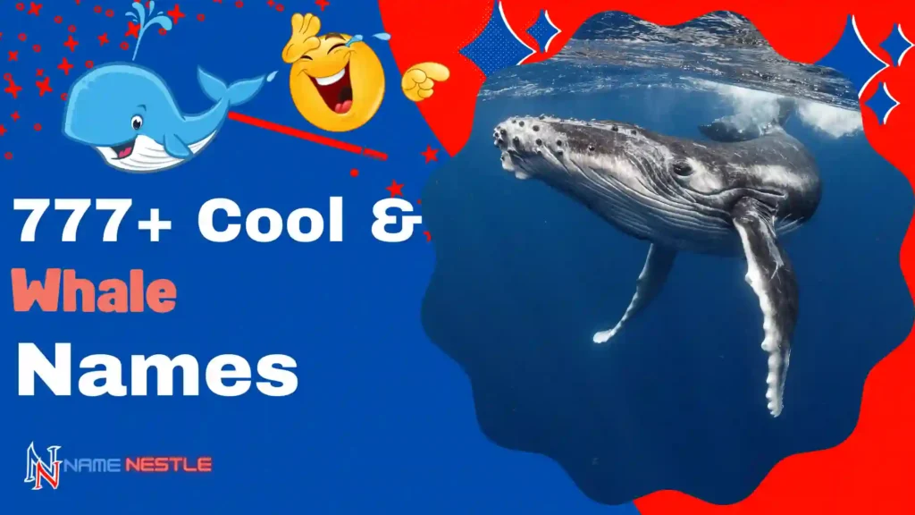 777+ Cool And Funny Whale Names