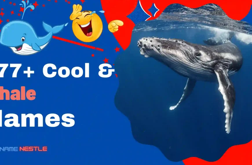 777+ Cool And Funny Whale Names