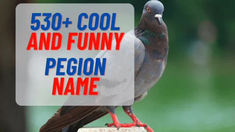 Pigeon Names