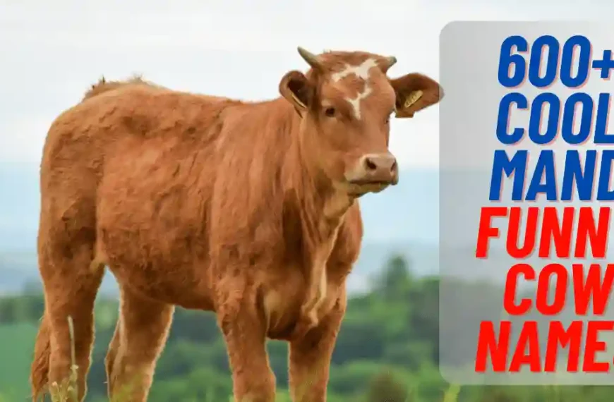 Cool And Funny Cow Names