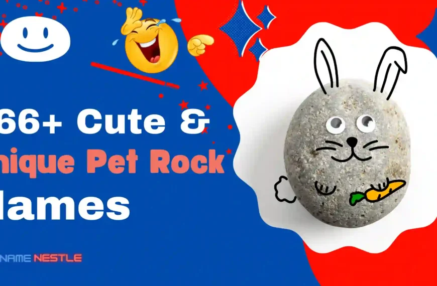 666+ Cute & Unique Pet Rock Names
