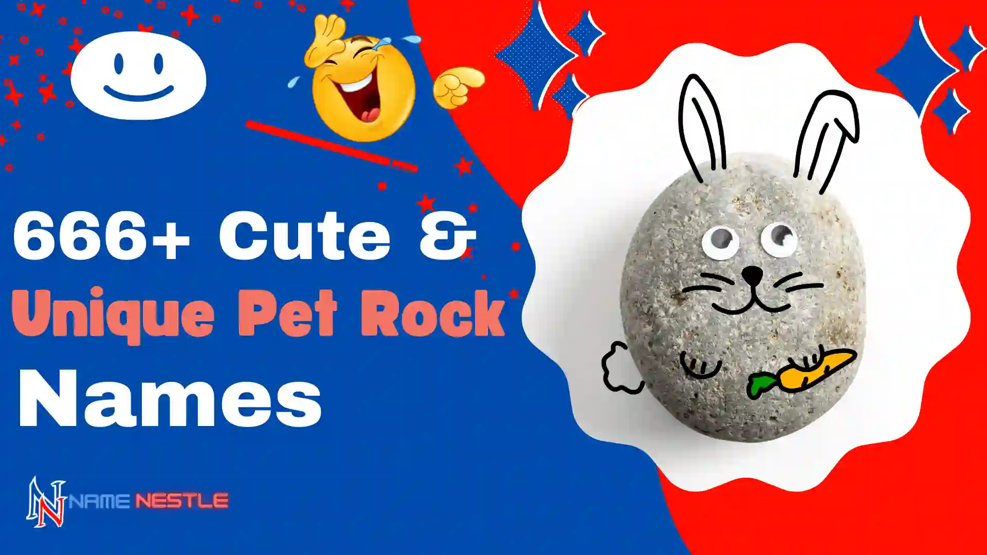 666+ Cute & Unique Pet Rock Names