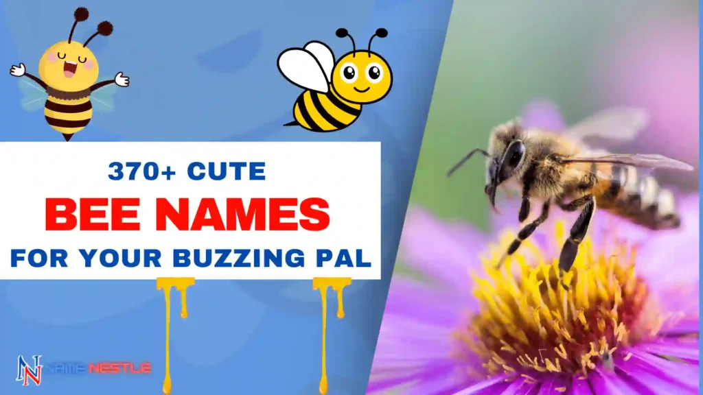 370+ Cute Bee Names For Your Buzzing Pal 