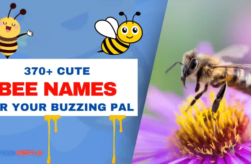 370+ Cute Bee Names For Your Buzzing Pal