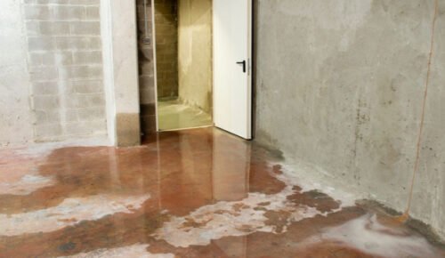 Essential Tips for Homeowners to Spot Water Damage Early