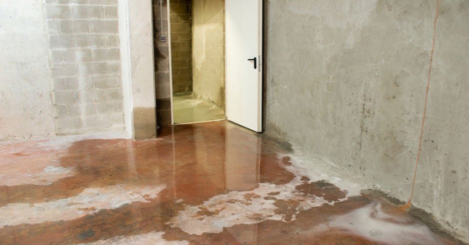 Essential Tips for Homeowners to Spot Water Damage Early