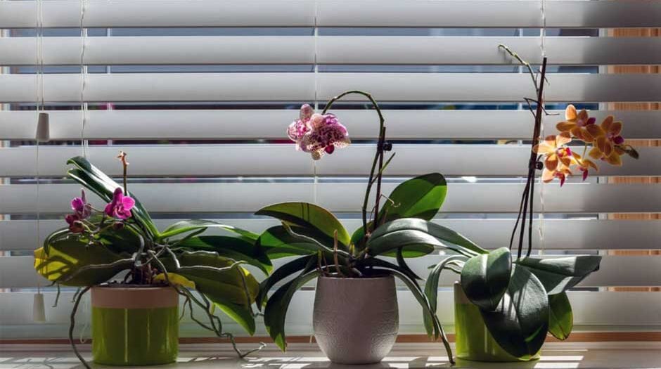 Discover-the-Rising-Popularity-of-Motorized-Shades-in-Modern-Home-Design